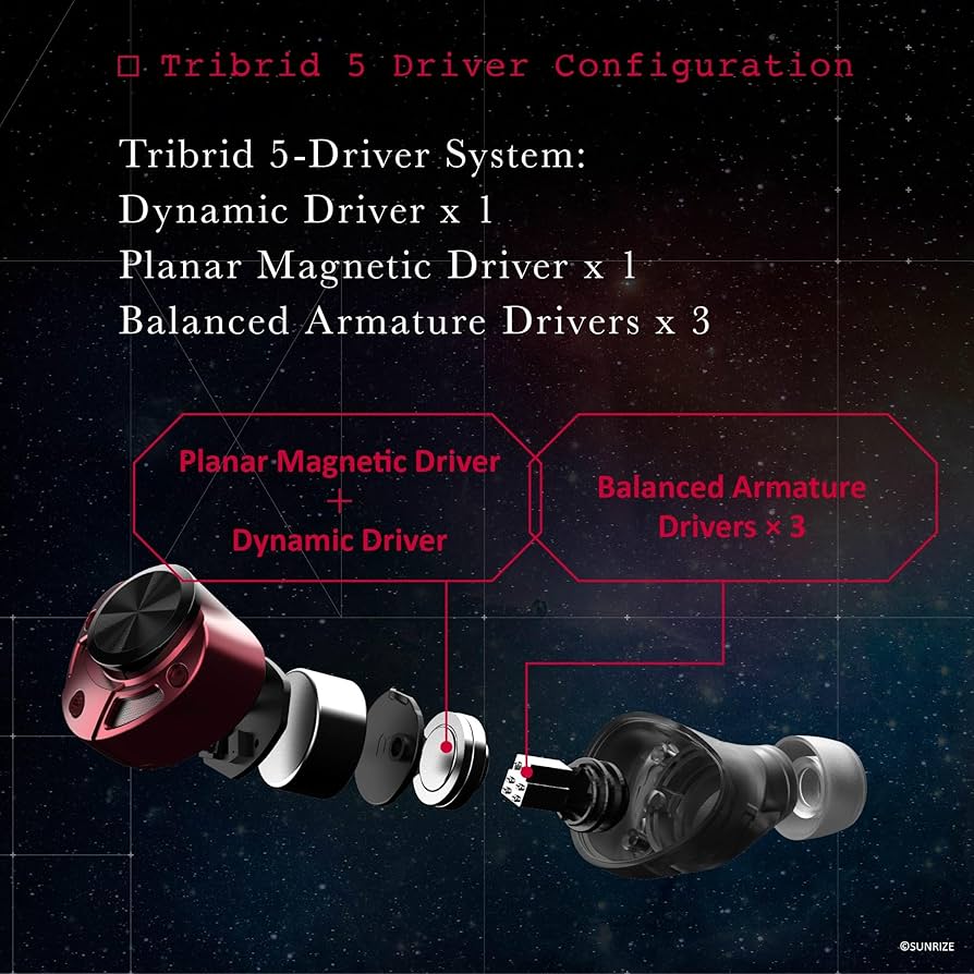 AVIOT TE-ZX1 Wireless Earbuds - World's First 5-Driver